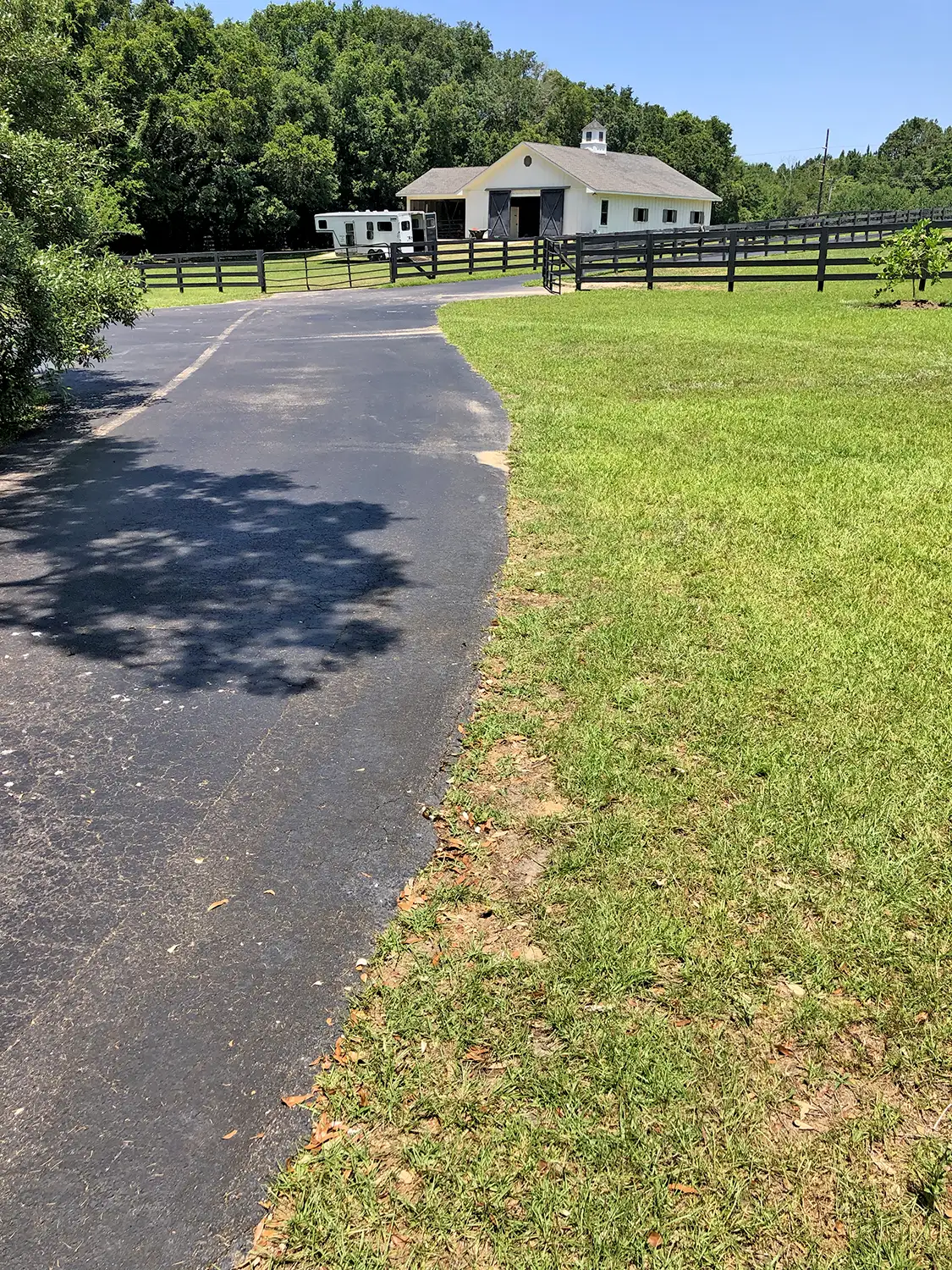 Middle Field